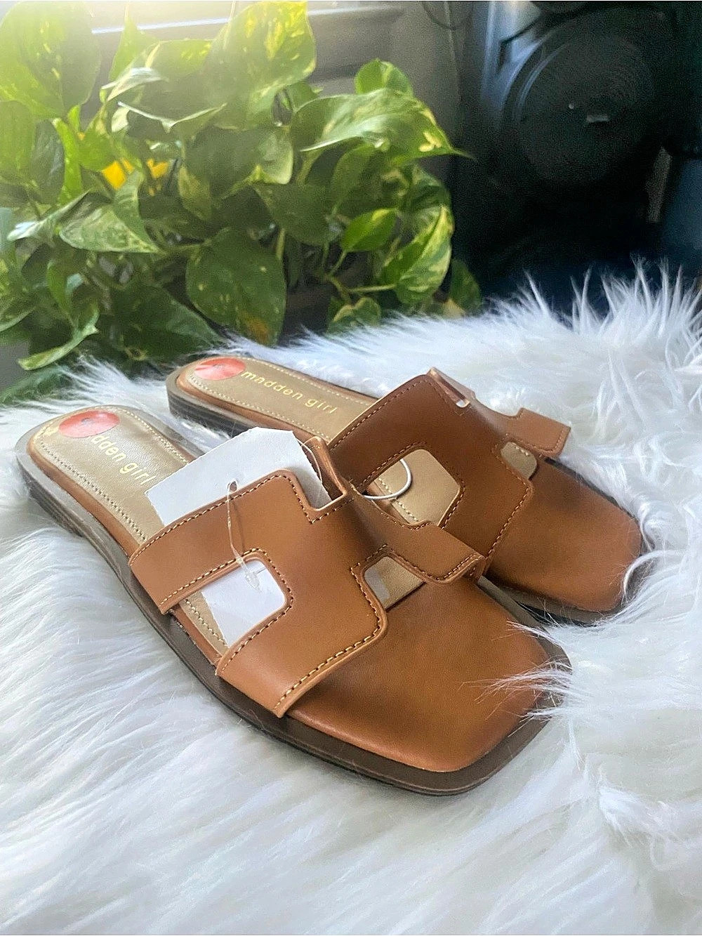 Madden Girl Hailey Women's Brown Buckle Slide Sandals - NEW